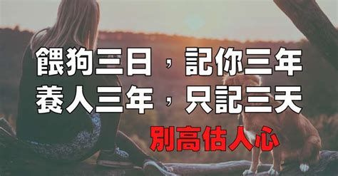 養狗三日|養狗三日，三年記；餵人三年，三天忘！